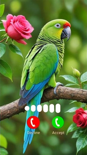 instrumental music ringtone | #ringtone #viral #song #love #trending #mobileringtone