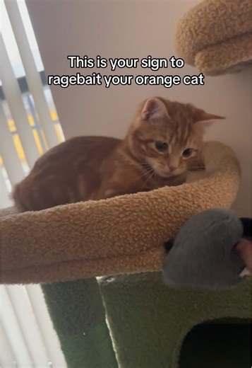 Exploring the Beautiful Roads of Southern Italy