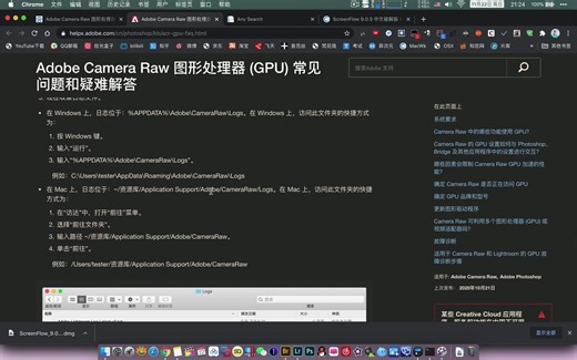 Adobe Camera Raw 硬件加速问题以及解决方法