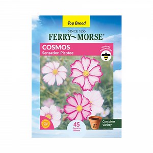 Ferry-Morse 400MG Cosmos Sensation Picotee Annual Flower Seeds, Full Sun