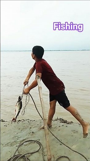 11. Catching River Monsters Using Pangas Meat Bait #fishing #pangasfish #shorts #reels #viral