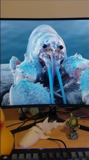 Lobster Jumpscare! Custom Startup Animation on Linux Mint #shorts #viral #meme #lobster #shorts