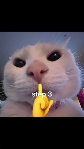how to use a vending machine tutorial part 75 #cat #catmeme #catphoto #usefultips #helpful #fypシ
