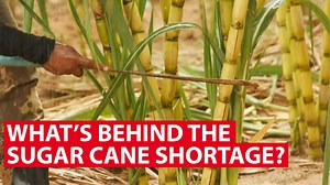 If your sugar cane fix has been harder to find and more expensive - here's why. Could supply one day run dry? #ForFoodsSake investigates. | CNA Insider