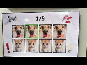 Repeat the Pattern Challenge Game Livestream