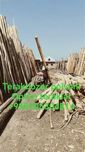 #rek #arzoni #terakbozor #стройка #optim #duet
