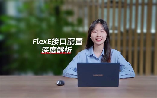 IP新技术进阶系列 - FlexE接口配置深度解析