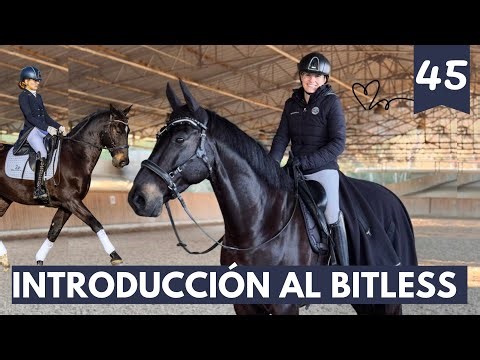 Introducción al Bitless con Liberty 🐴 | Con Laura Batlle ✨