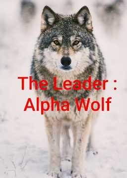 The Leader | Alpha Wolf #leadership #motivational #viral #everyone #wisdom #knowledge