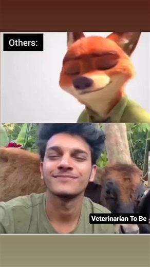 5.6K views · 41 reactions | #vet #cow #veterinarianToBe #veterinarian_to_be #veterinarymedicine #veterinarian #veterinaryclinic #veteransupport | Veterinarian To Be | Facebook
