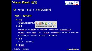 visual basic常用标准控件