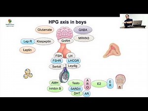 MedEClasses Grand Round Precocious Puberty in Boys