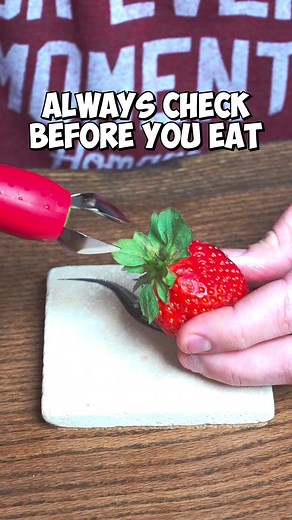 55M views · 76K reactions | Why you should always check your strawberries before you eat them #food #lifehack #freshfruit #strawberry #viral #reels | Noah Klein 614Lyfe | Facebook