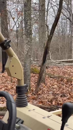 Woodland Mills MultiLander First Trip #woodlandmills #sawmill #multilander #logginglife🌲🌲🌲 #forestequipments | Dan Warren