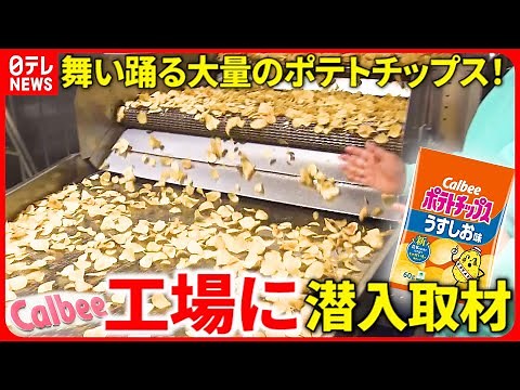 【カルビーの秘密】ポテトチップス製造ラインを㊙︎公開！じゃがいもを"高速処理"するスゴ技も!? 立ち入り禁止の向こう側〜カルビー・ポテトチップス編〜『every.特集』