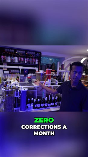 20 dosing heads on a Single Reef Tank!