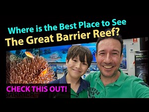 Where is the best place to see the Great Barrier Reef?