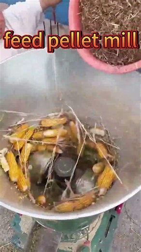 Turn Raw Materials into Perfect Feed Pellets | Farm Must-Have Machine#livestockfeed #cattlefeed