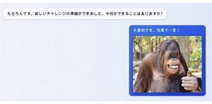BingのAIが画像つきの質問に対応！ さっそく｢写真でひと言｣やってみた