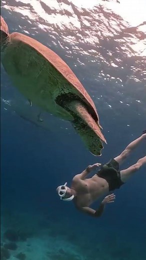 SSI Science Of Diving!