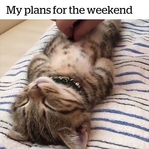 27K views · 552 reactions | My weekend plan | DHgate | Facebook