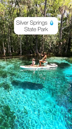 Did you know you can see wild monkeys 🐒 in Florida 🌞? Located in Ocala, FL, Silver Springs State Park, not only has one of the most beautiful freshwater springs in all of Florida, it is also home to approximately 400 wild monkeys 😳. If you are lucky 🍀 you will also see the resident manatees that live here year round. This was our second time visiting Silver Springs State Park, and our last time paddling on our @boteboards before leaving Florida. We were joined by our bus friends, @telliers.t