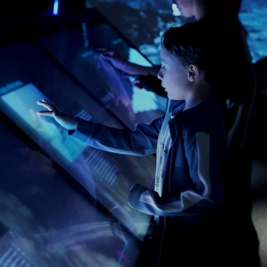 Besøk The Viking Planet Haugesund og lær mer om den spennende vikinghistorien på en gøyal og lærerik måte👏 Museet ligger i Haugesund sentrum, og er et digitalt museum basert på lokal historie⭐️ https://www.fjordnorway.com/no/se-og-gjore/the-viking-planet-haugesund | Visit Haugesund