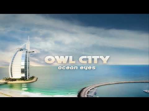 Owl City - Fireflies 10 hours