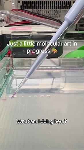 Electrophoresis: Separating DNA Artfully