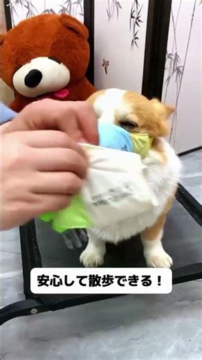 メッシュ通気設計！犬がハアハアと熱を逃がすのを妨げない、付けていても普通に呼吸できる！ #誤食防止 #マズル #公園の安全 #夏対策 #安全対策