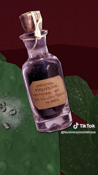 Exploring Edible Bugs in Red Foods