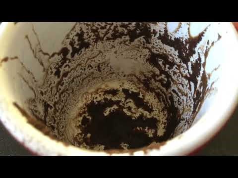 Leo January 26, 2026 Weekly Coffee Cup Reading by Cognitive Universe