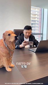 570K views · 52K reactions | Cute Tomy and mammy ki story mini wood working art sakill wood handcrat #viralreels #reelsfypシ #reelsvideoシ #reelsviralシ #reelsviralfb #viralreelsfb #reelsfbシ #fbreels23 #viralreelsシ #viralpost2024 #reelschallenge #reelstrending #virals #viralvideo #doglover #dog #doglife #doggo #dogsofinstagram #dogsofinsta #trendingreels #trend | ak rajpoot | Facebook