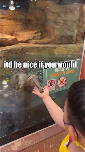 Otter vs UP