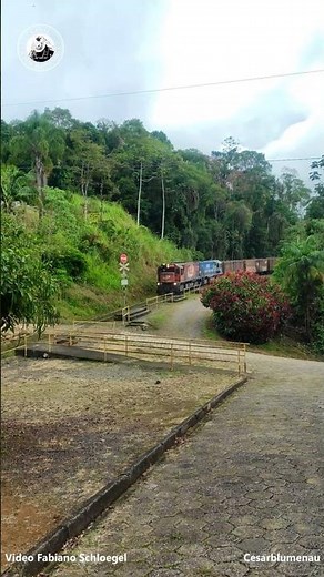 🇧🇷 O Som do Trem na Serra / Train sounds in the mountains - São Bento do Sul/SC - (Brasil)