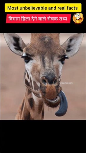 most unbelievable and real facts in hindi | ऐसे रोचक तथ्य जिन्हे आप पहले नही जानते होंगे #shorts