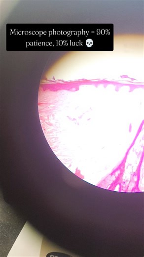 Bhumi Sharma on Instagram: "Microscope + camera = ultimate test of patience 💀🔬 Relatable much? . . . . . . . . #medicolife #mbbsstudent #medicalcollege #histology #microscope #medicovibes #labday #medstudentproblems #reallifelab #studystruggle #relatablereel #collegevibes #studentreel #mbbsreels #funnyreel #campuslife #aestheticreel #trendingaudio #indianmedicos #instamedicos . . . . . . (histology slides,microscope photography,medico life,mbbs student,medical college,lab practical,student str