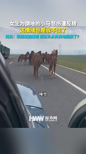 The girl was sad for the pony that fell down during the trip, but she encountered a reversal and almost couldn't control her emotions. Netizen: The tears were still hanging, and she just woke up like this? 女生旅途中为倒地的小马悲伤，不料遭遇反转，情绪差点收不住。网友：眼泪还挂着呢 就这么水灵灵地起来了？ | People's Daily,Overseas