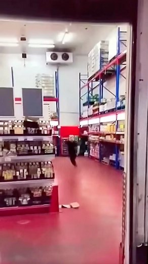 ▶️weememes◀️ on Instagram: "Follow @wee.joke for More wee😂👍 #gegenmobbing #againstbullying #hahaha #wow #crazy #lol #virall #reels #running #closecall #hahahahahahahahahahahahahahahahahahahahahahahahahahahahahahahahahahahaha #weeee Credits:📸 Via @weee.memes Dm me for Credits/removal"