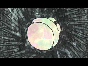 Guts - Brand New Revolution - Video by MIRAI MIZUE