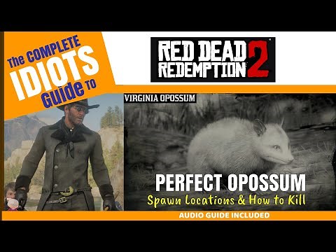 Perfect Apossum Hunting - Idiots Guide to RDR2