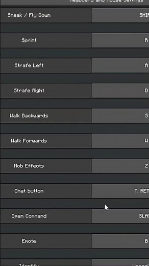 Minecraft Secret Feature You Missed 🤫