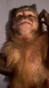 Gaitlyn Rae on Instagram