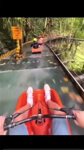 alpine slide FAILS where they WIPE OUT and FALL on the GROUND #gokart #fail #fails #peoplefalling