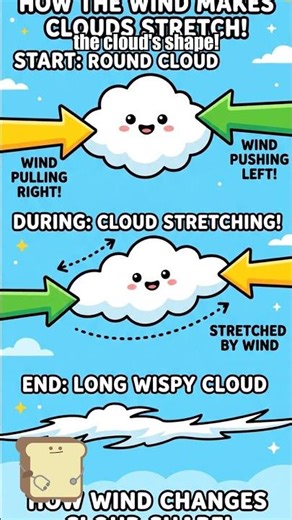Dr. Toast Teaches: How Do Clouds Change Shape In The Sky 🍞 #Shorts #LearnWithDrToast
