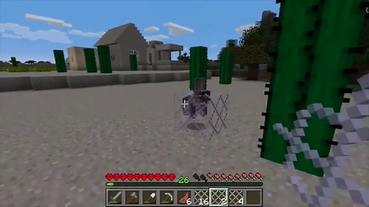 Giacomo's Fishing Net