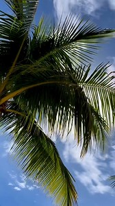 The St. Regis Langkawi, Malaysia ✨ Indulge in the ultimate luxury experience against the backdrop of Langkawi rainforest. Bask in stunning sunset views from private terraces, unwind in the tranquil Iridium Spa, and relish bespoke dining at one of six diverse restaurants and bars. 📸 @thestregislangkawi #stregislangkawi #langkawitrip #langkawibeach #langkawiisland #langkawimalaysia #langkawiskybridge | Destinology - Luxury Holidays