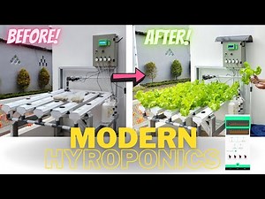 Modern Technology Hydroponics with Automatic pH and Nutrition Control System Online Monitoring