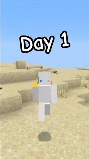 turning your profile pictures into minecraft skins! #minecraft #skins #skin #day1