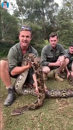 Python Teeth Secret Explained 😲🐍 #shorts #amazingfacts